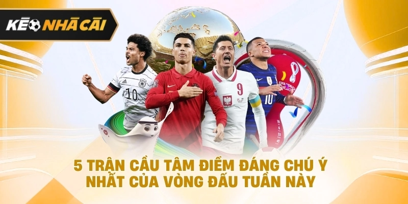 Đánh giá các tỷ lệ nổi bật tại những điểm nóng vòng đấu nên tham khảo