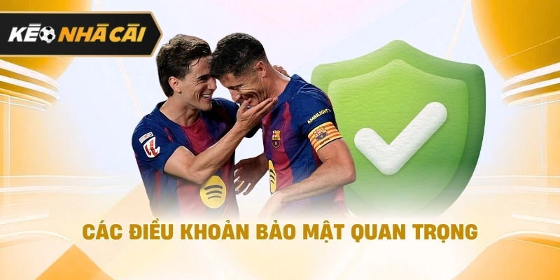 Theo cách tiếp cận dễ hiểu, các điều khoản bảo mật đáng chú ý cần biết