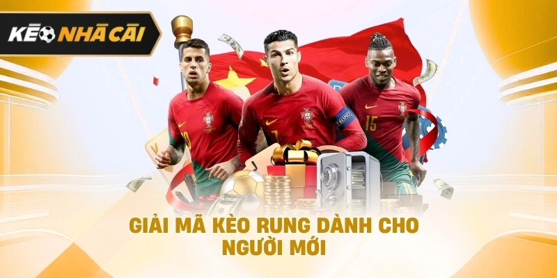 Xét trên thực tế, giải mã kèo rung dành cho người mới đáng chú ý