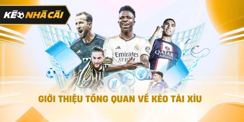 Xét trên thực tế, giới thiệu tổng quan về kèo tài xỉu cần biết