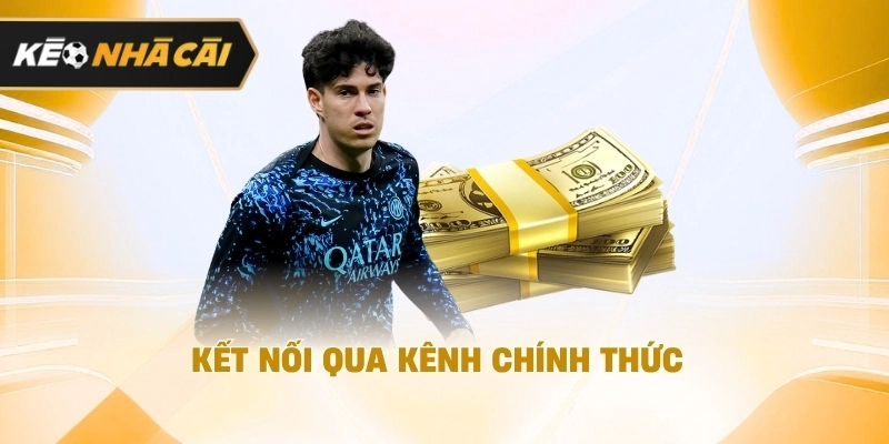 Kết nối qua kênh chính thức nên tham khảo