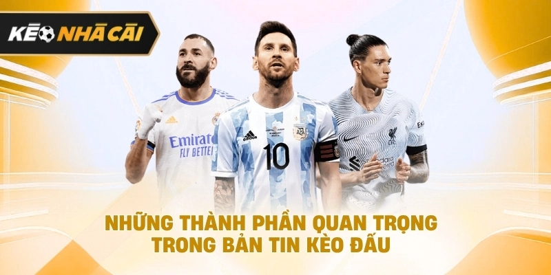 Xét trên thực tế, những thành phần quan trọng trong bản tin kèo đấu đáng chú ý