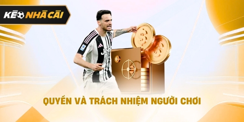 Trong bối cảnh hiện tại, tìm hiểu về miễn trừ trách nhiệm được cập nhật